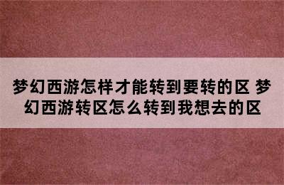 梦幻西游怎样才能转到要转的区 梦幻西游转区怎么转到我想去的区